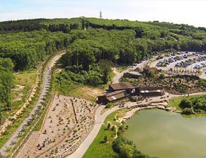 Bedgebury