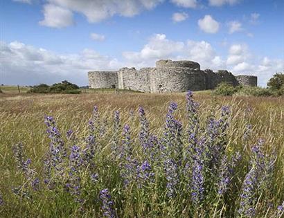 Castle & Wildlife Walk from Rye Station