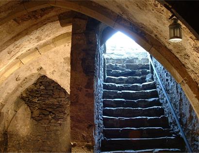 Cellar