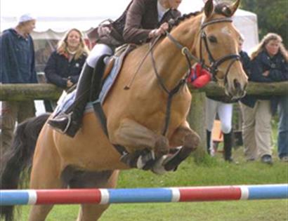 Chiddingly