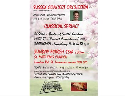 poster for Sussex Concert Orchestra
