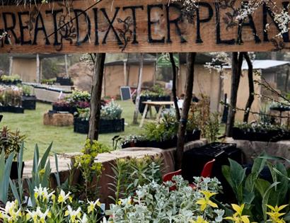 Great Dixter Spring Plant Fair