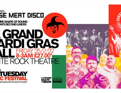 Le Grand Mardi Gras Ball — Hastings Fat Tuesday