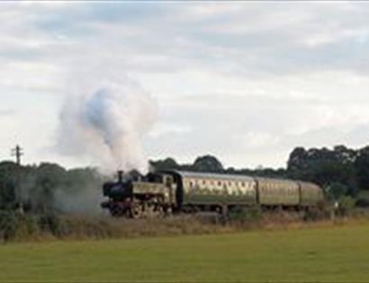Steam Train