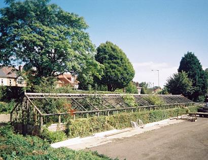 Greenhouse