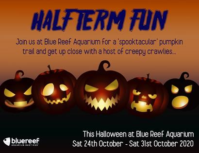 The Blue Reef Aquarium Spooktacular Halloween Trail