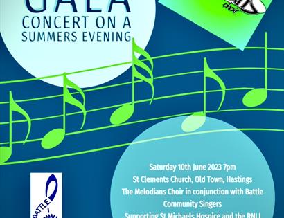 GALA CONCERT ON A SUMMERS EVENING