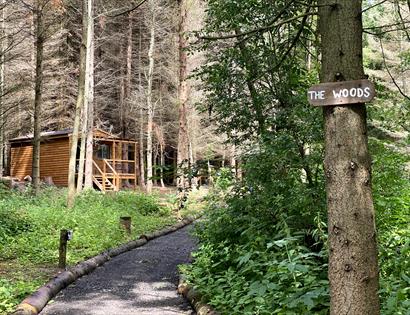 Seven Acre Glamping, Woods, Accommodation, Cabins Battle, Seven Acre Woods, Camping