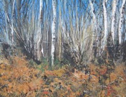 Hastings Arts Forum;s Members & Volunteer Show -open 11am - 5pm . closed Mondays