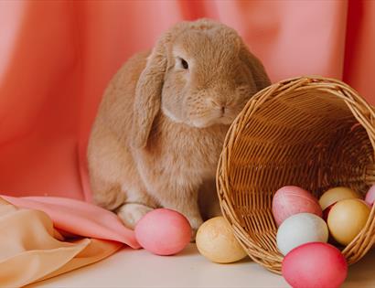 Easter bunny with eggs