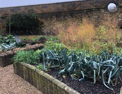 walled garden at Fairlight Hall