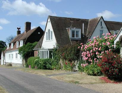 Winchelsea garden