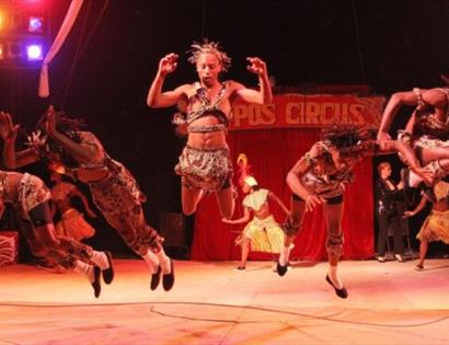Circus