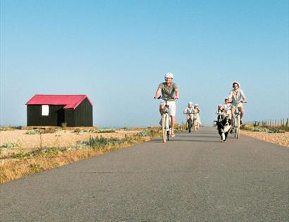 Electric Cycling Adventures Half Day