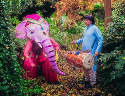 Elephant and trainer