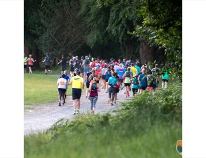 Group of participants running in an organized outdoor race on a tree-lined path.