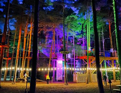Image shows a Go Ape Bedgebury High Course illuminated with colourful lights (red, green, blue, pink)