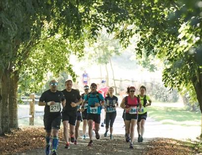 Group of runners with race bibs jogging along a tree-lined path on a sunny day.