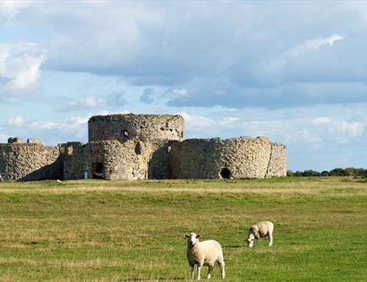 Camber Castle