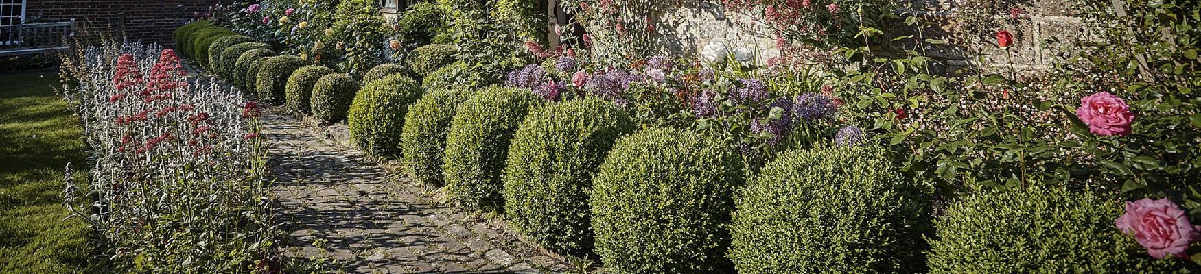 Gardens at Battle Abbey