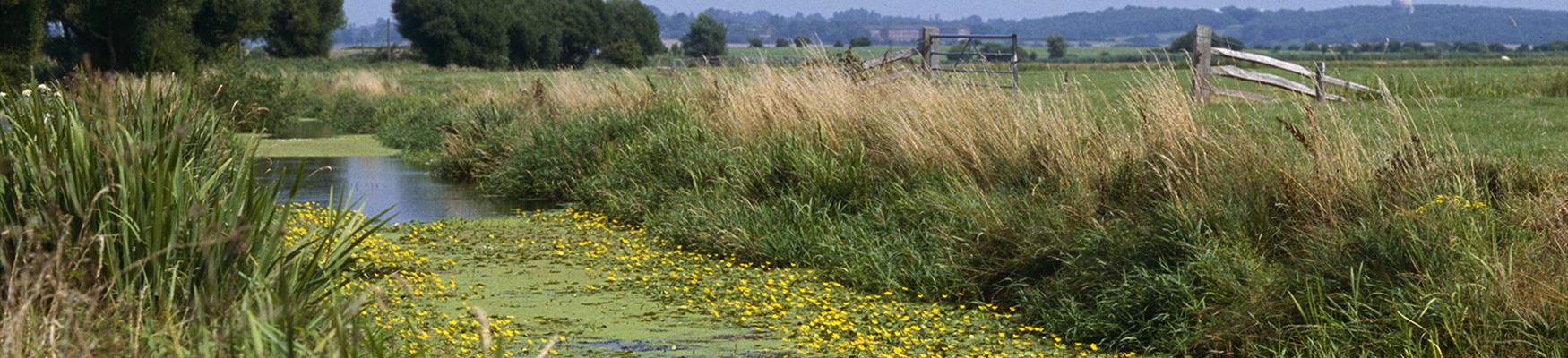 Pevensey Levels and Herstmonceux Castle