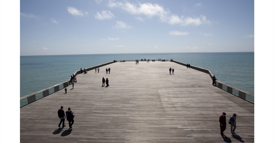 can you take dogs on hastings pier