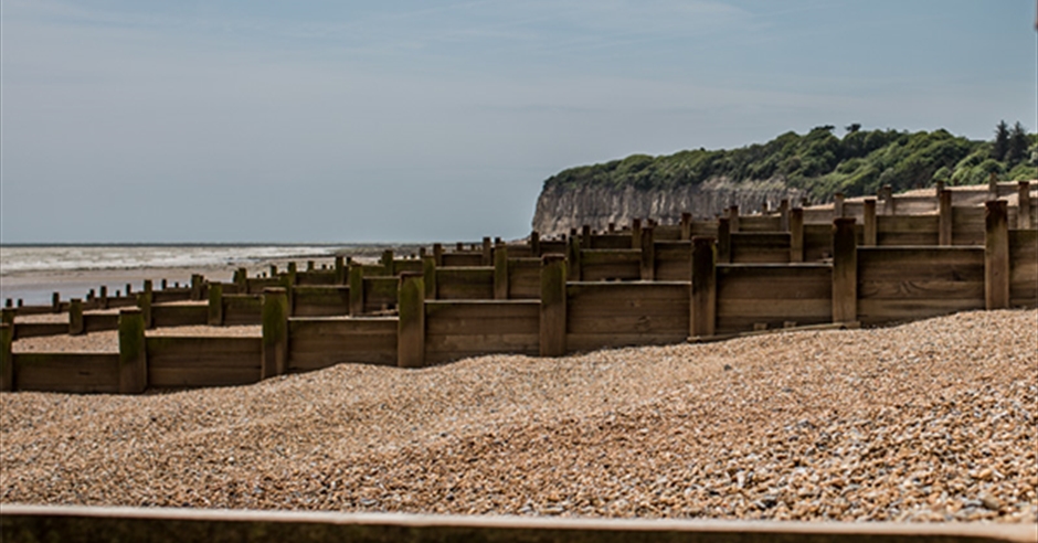 are dogs allowed on pett level beach