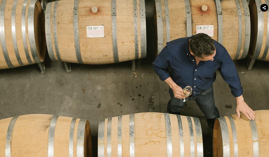 birds eye view of vineyard room with wine barrels and man holding white wine.