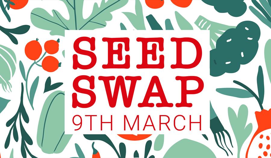 poster for seed swap