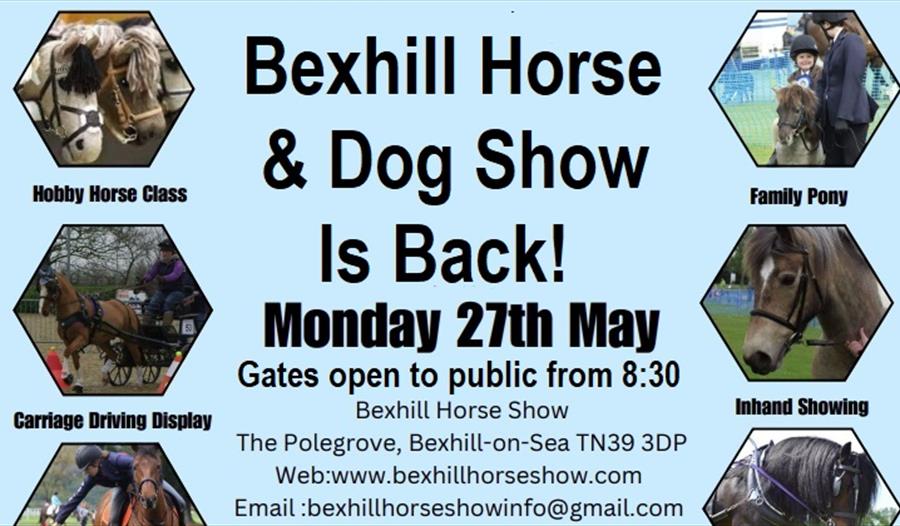 Poster for Bexhill Horse and Dog Show