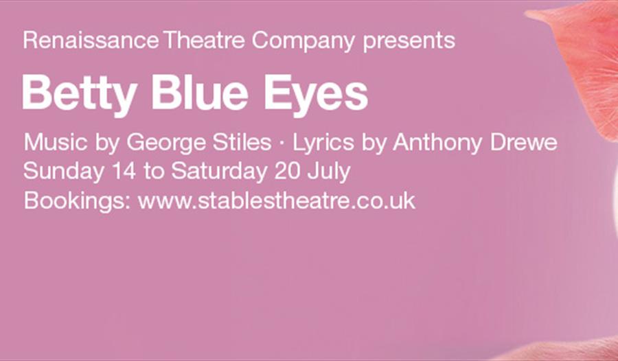 Poster for Betty Blue Eyes