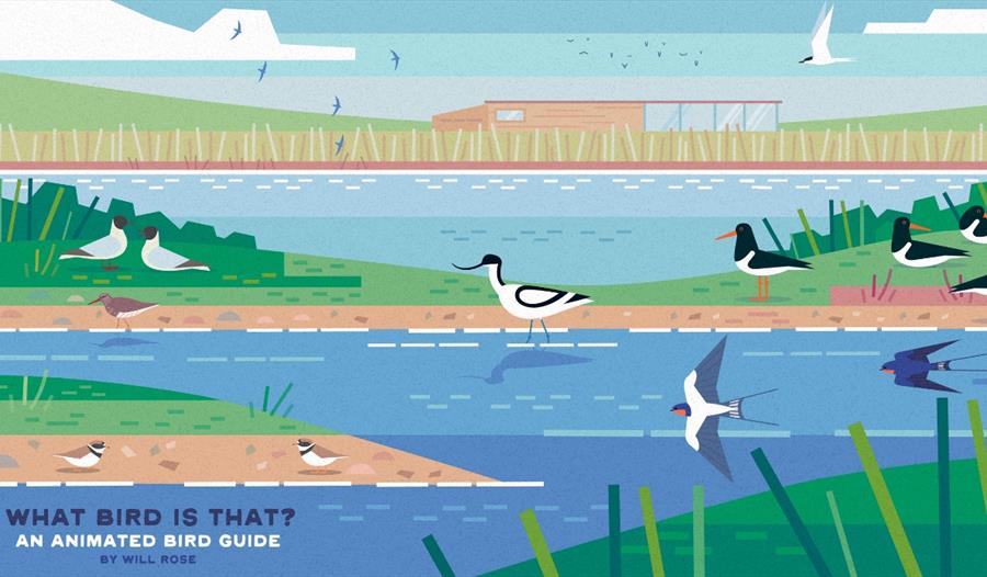 Fun Family Bird Workshop