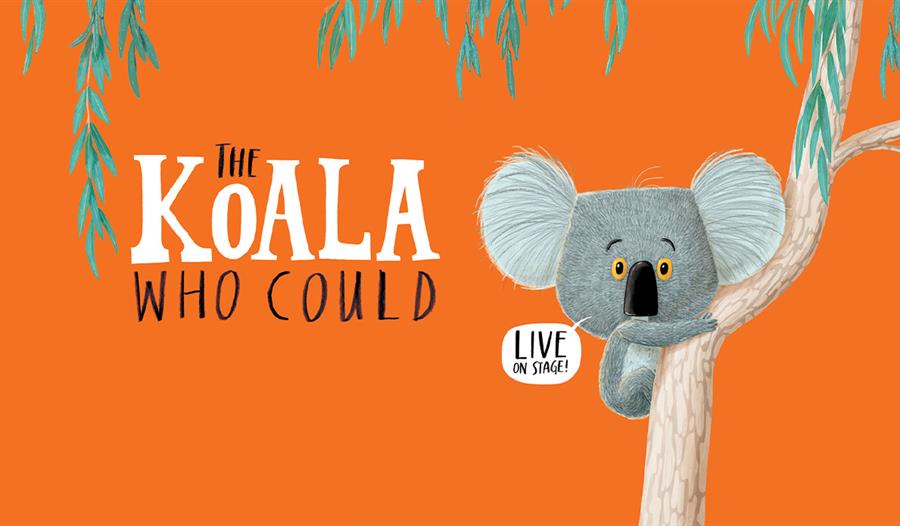 The Koala who could