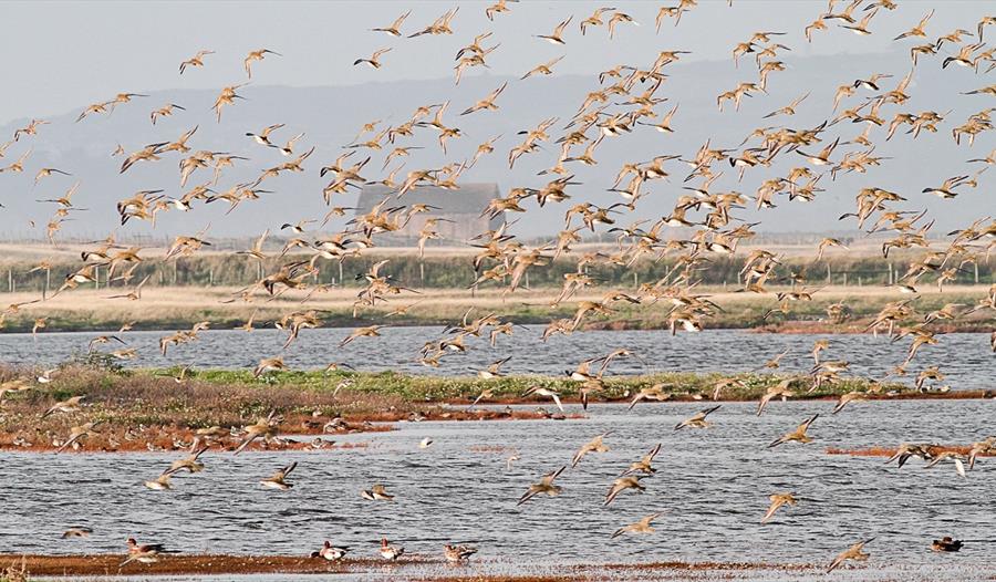 World Wetlands Day Walk 1