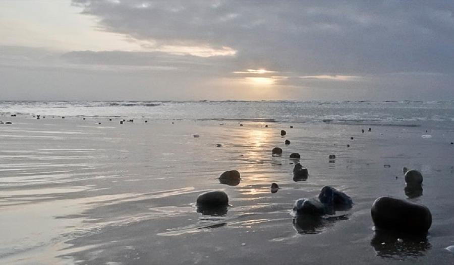 Reflections with Jane Lovell