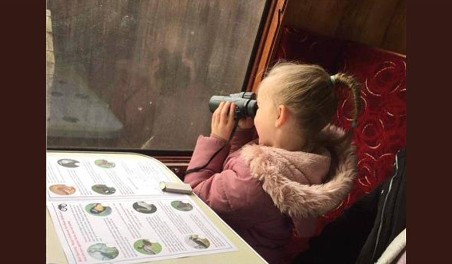 Little girl taking photos of outside the window on a train