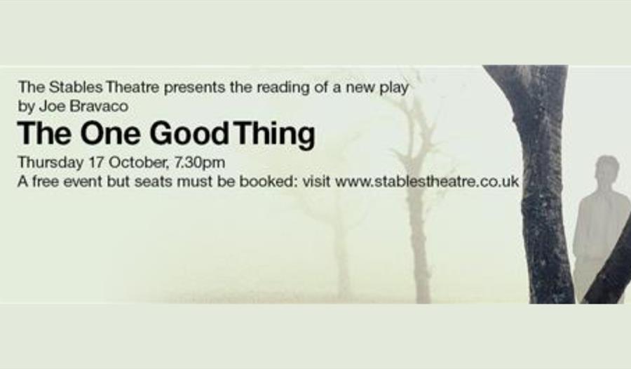 Poster for the one good thing