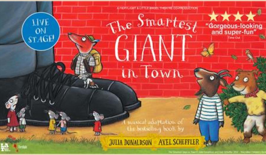 Smartest giant in town poster