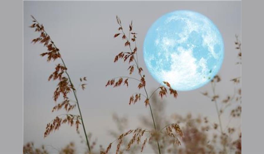 Super moon