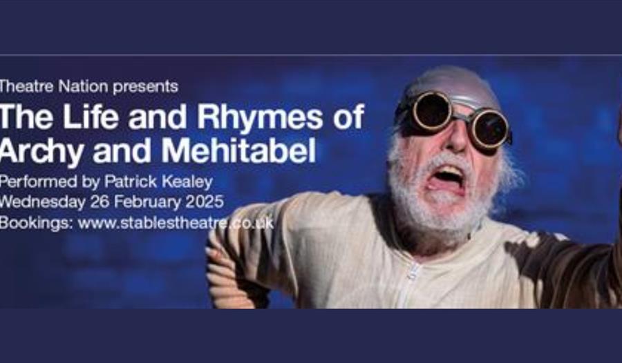 The life and rhymes of archy and mehitabel poster