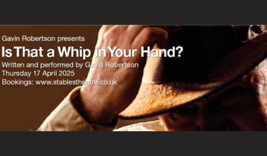 is that a whip in your hand poster