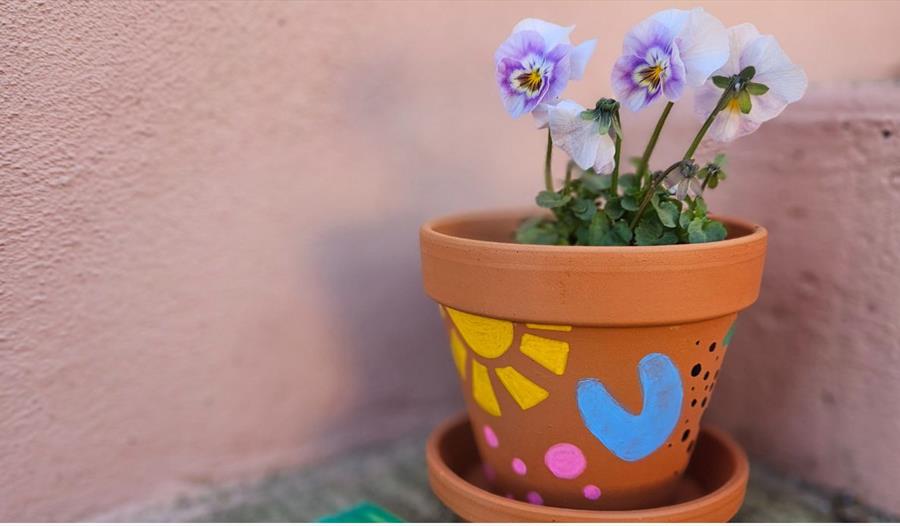 Homemade terracotta plant pot
