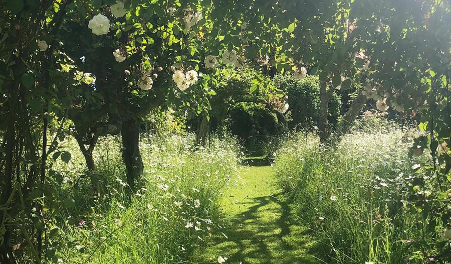 Meadow at King John’s Nursery and Garden, Etchingham, East Sussex.