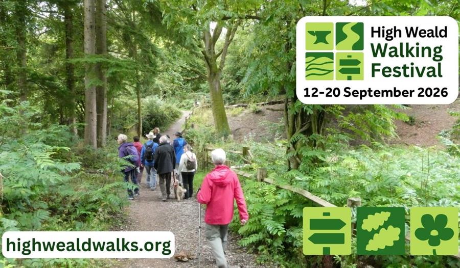 Group of people walking along a wooded path, promoting the High Weald Walking Festival, 12-20 September 2026
