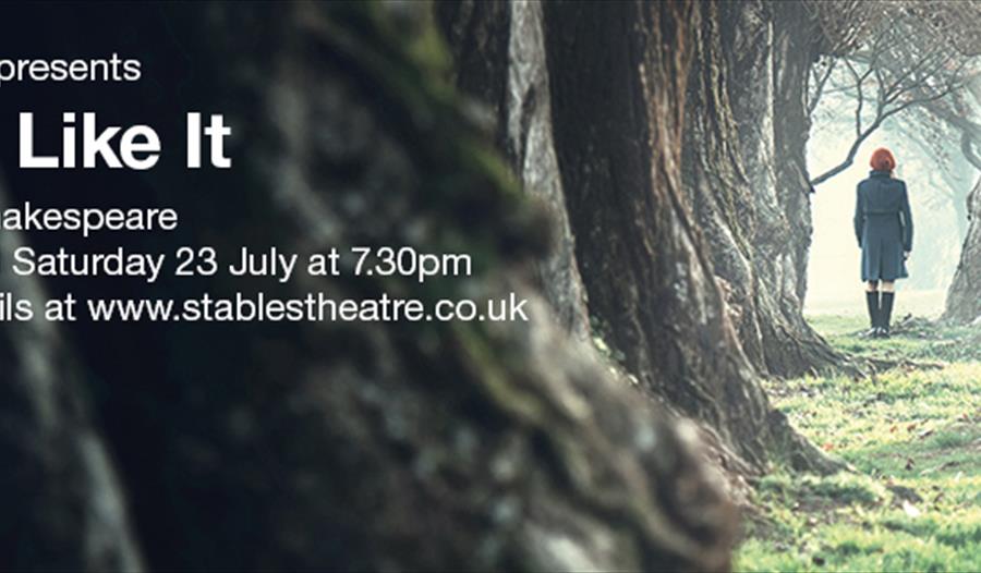 poster for As You Like It shows woman standing with back to camera at end of avenue of trees
