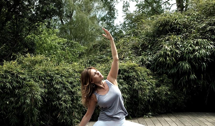 Yoga at Tillingham Wines