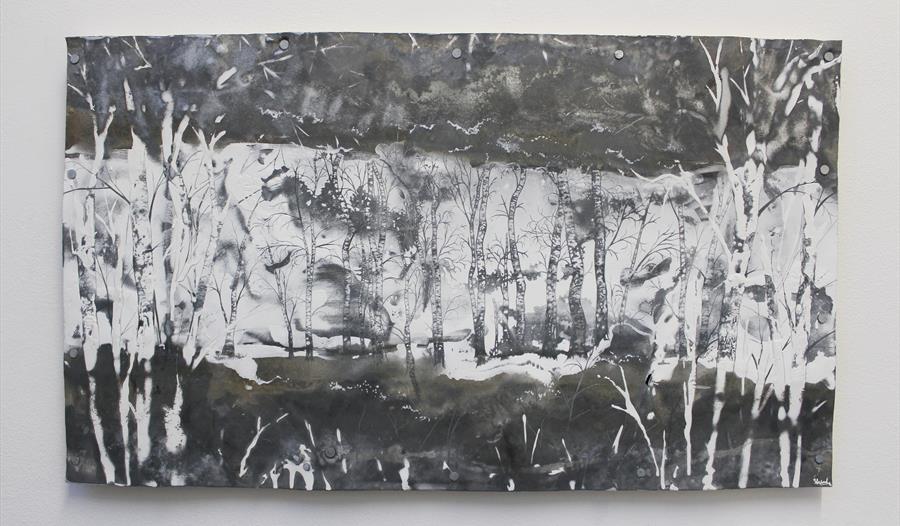 'Nature Refocused' Art Exhibition