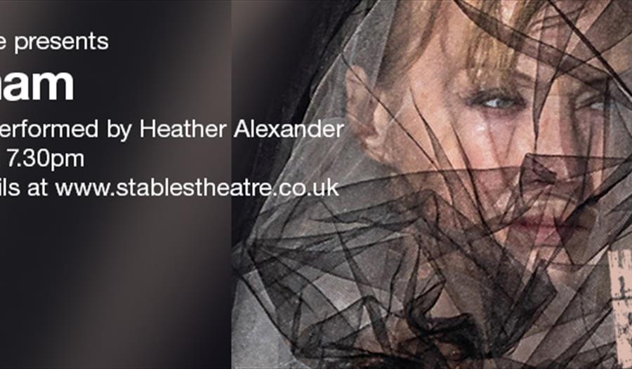 poster showing a woman with face covered in a mesh black veil.