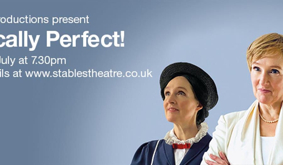 Poster for Practically Perfect.