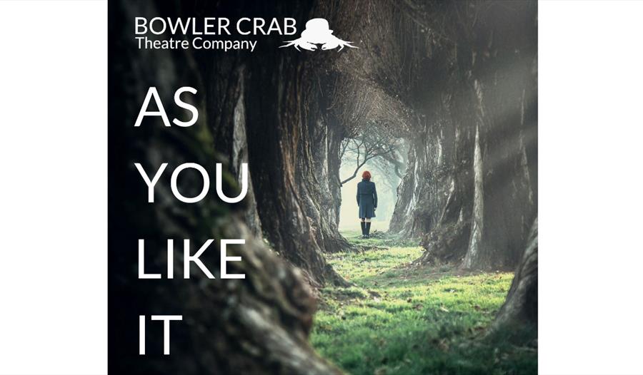 As You Like It